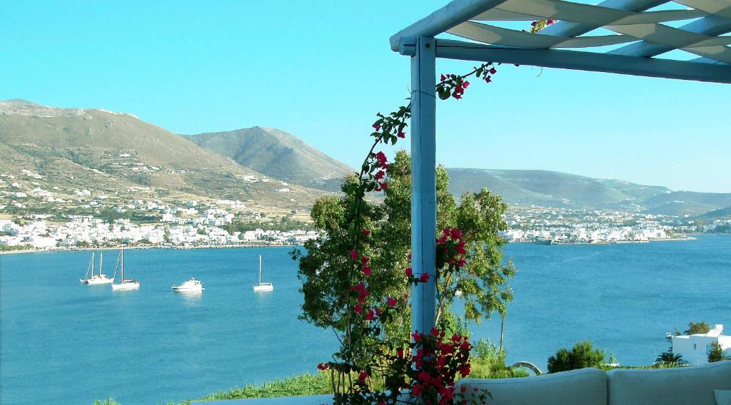 Paros Paradise Apartments Szoba fotó